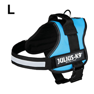 JULIUS-K9 IDC-POWERHARNESS SIZE: 1 AQUAMARINE