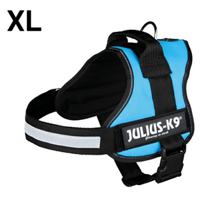 JULIUS-K9 IDC-POWERHARNESS SIZE: 2 AQUAMARINE