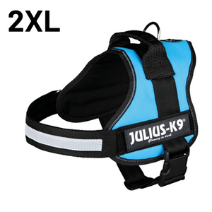 JULIUS-K9 IDC-POWERHARNESS SIZE: 4 AQUAMARINE