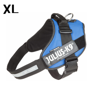 JULIUS-K9 IDC-POWERHARNESS SIZE: 2 BLUE