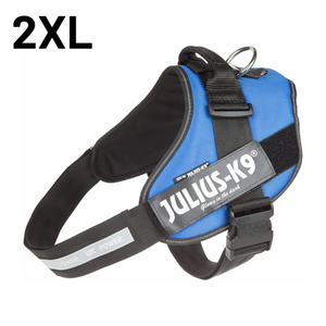 JULIUS-K9 IDC-POWERHARNESS SIZE: 4 BLUE