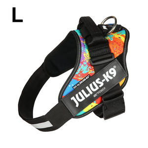 JULIUS-K9 IDC-POWERHARNESS SIZE: 1 CRAZY