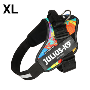 JULIUS-K9 IDC-POWERHARNESS SIZE: 2 CRAZY