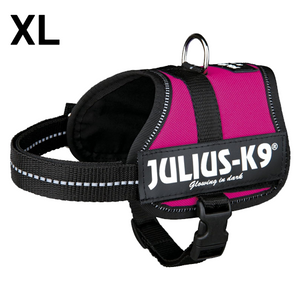 JULIUS-K9 IDC-POWERHARNESS SIZE: 2 DARK PINK