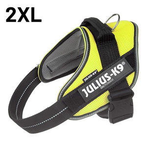 JULIUS-K9 IDC-POWERHARNESS SIZE: 4 NEON GREEN