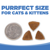 NUTRISOURCE CAT & KITTEN CHICKEN MEAL SALMON AND LIVER 6.6LB